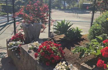 Luxury Home in Colares - Photo 18