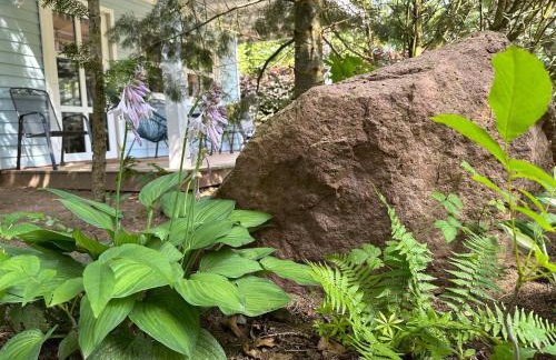 Kwiat Paproci - Foto 61