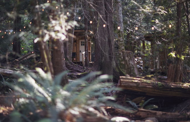 Heartwood Retreats - Foto 42