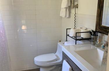 Oyster Lady Homer, AK - Foto 16