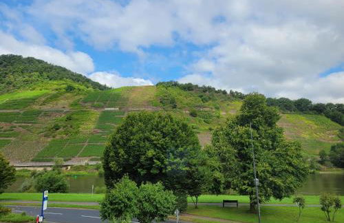 Ferienhaus im Moseltal - Foto 28