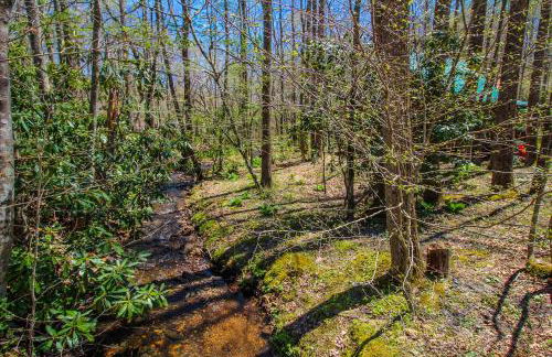 Creekside Serenade - Foto 24