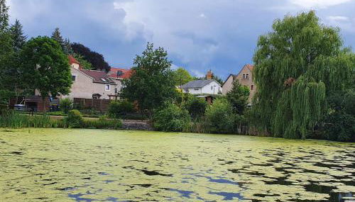 FeWo "Am Teich" - Foto 3