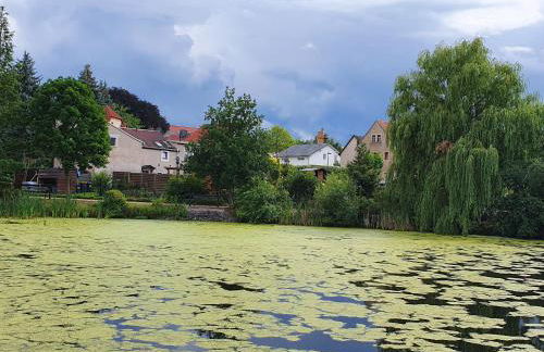 FeWo "Am Teich" - Foto 3