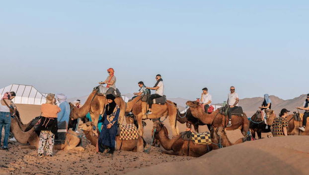 Pronti per la passeggiata in cammello
