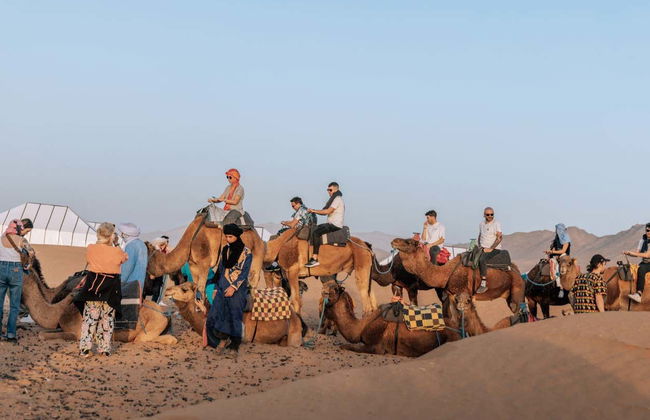 Camel Ride and Night in the Desert - Photo 2