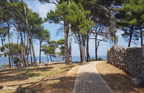 Apartment Zdenka - Foto 15