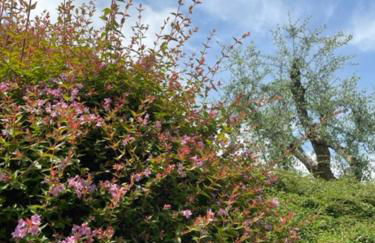 La casa in collina - Foto 41