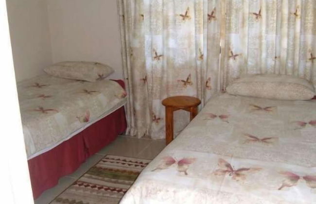 Lazy Lizard - Foto 10