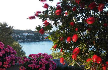 Studio apartman Kornelija - Foto 8