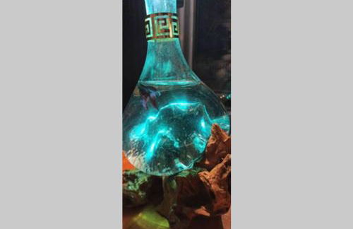 Accessible Luxury - Foto 75