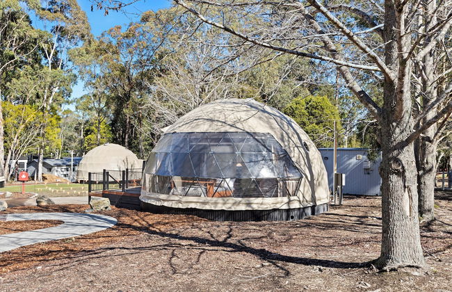 BIG4 Yarra Valley Park Lane Holiday Park - Foto 1