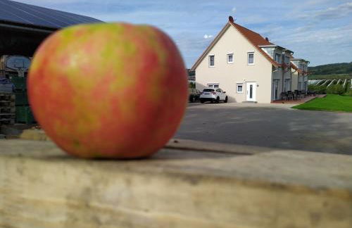 Ferienhof Dachsberg Wohnung Maritim - Foto 18