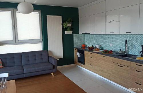 Comfy, Familly friendly apartment. Balcony. Garage. - Foto 33