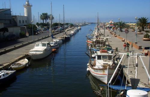 Ulivo Della Querce - Foto 26