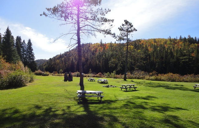 Domaine du parc de la forêt ouareau - Photo 35