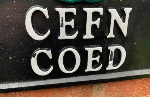 Coed Bach Suite - Foto 15