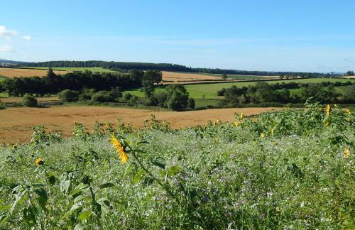 Eden Hideaway - Foto 17