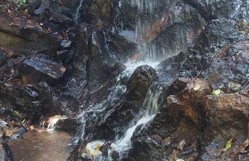 Loft com piscina natural em Cachoeiras de Macacu - Foto 43