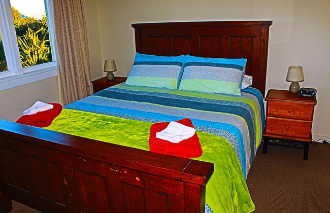 The Green Gecko - Foto 1