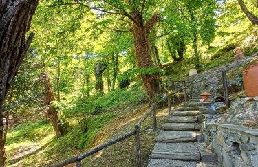 The Mushroom Cottage - Foto 37