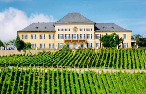 1.0 Relaxen am Kloster Johannisberg - Foto 10