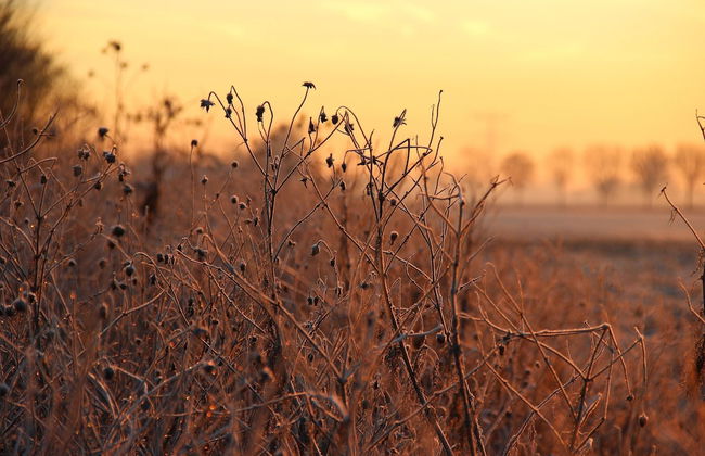 Cozy Vacation Home With Terrace - Photo 33