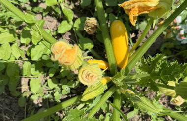 L'Épicerie de Bezenac - Foto 46