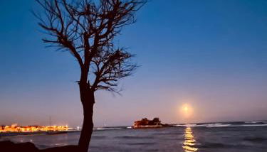 L'Ancora & il Timone - Foto 3