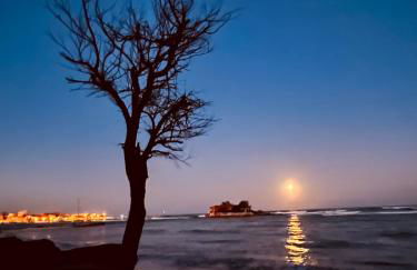 L'Ancora & il Timone - Foto 3