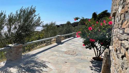 Sea view studio 2 - Photo 4