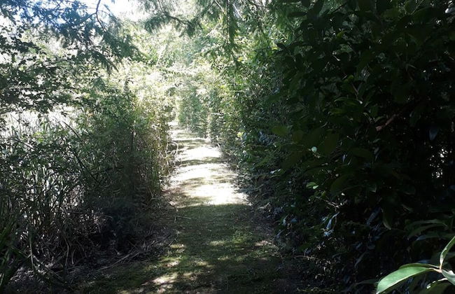 Complejo El Sitio Dorado - Foto 21