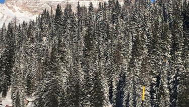 Il Cadorino - Foto 2