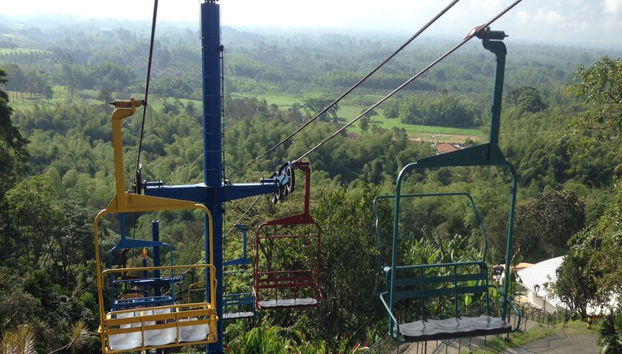 No te pierdas la diversión en el Parque del Café – Tour de un día entero - Foto 2