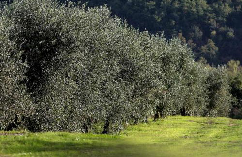 Palazzo Cansacchi - Foto 17