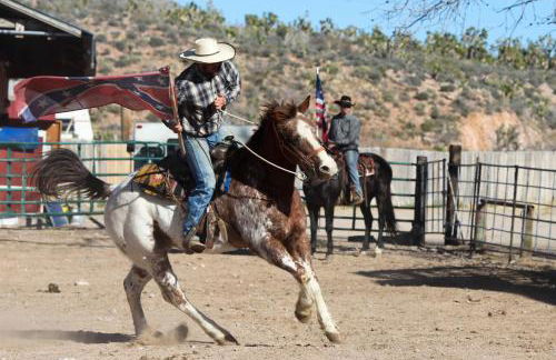 Grand Canyon Western Ranch - Foto 73