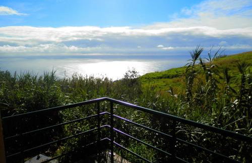 Au petit Madère - Foto 36