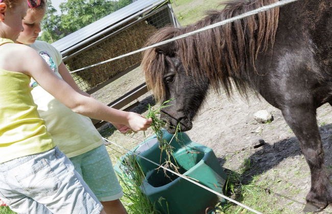 Holiday Lodge in Staphorst With Pool Access - Photo 13