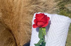 Cabana Dois Amores. Destino romântico. - Photo 55