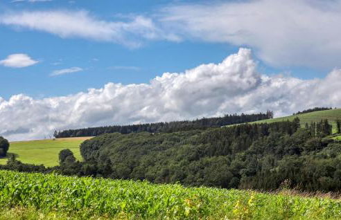 Amazing Apartment In Irrhausen With Wifi - Foto 33