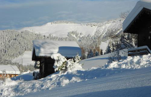 Chalets Savoie Les chalets d'Heidi - Photo 43