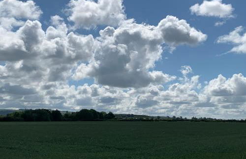 Jenson Cottage - Photo 43