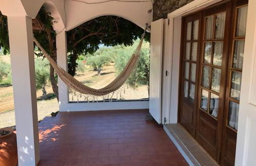 Quinta da Vela - Foto 31