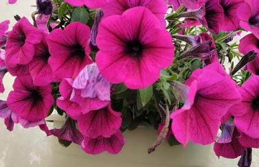 L' Archè Monolocale - Foto 10