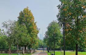 Elegant and modern two-room apartment with equipped kitchen - Foto 19