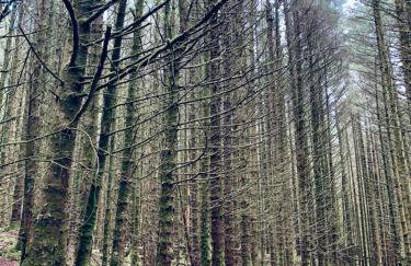 Red Watch Apartment - Foto 11