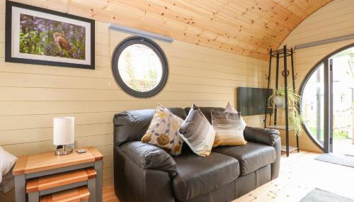 Filbert Pod - Foto 5