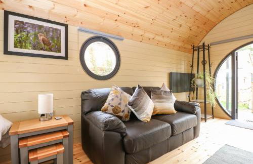 Filbert Pod - Foto 5