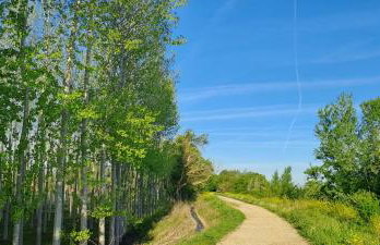 Dúplex Luxury Alfaro - Foto 43