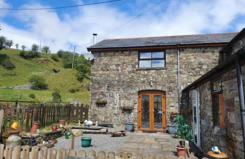 Cwm Farm Cwtch - Photo 20